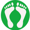 Foot Overview